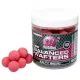 Mainline High Impact Balanced Wafter Salty Squid - 15mm - boilies wafters