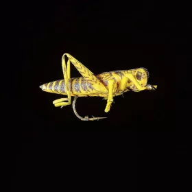 JMC Sauterelle 22 H8 - PCB 6 mosca artificiale