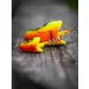 Fox Rage Testine Pelagiche Slick Lemon Tiger 100gr Testa Jig