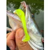 Fox Rage Scent Shads Sfuso Chartreuse Ayu 9cm Esche Artificiali in Plastica