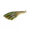 Fox Rage Scent Shads Sfuso Green Pumpkin 9cm Esche Artificiali in Plastica