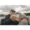 Fox Rage Scent Shads Sfuso Nat Wakasagi 13cm Esche Artificiali in Plastica