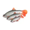 Fox Rage Ultra Realistic Roach Replicant Esca Artificiale in Plastica 14cm 45gr