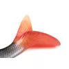 Fox Rage Ultra Realistic Roach Replicant Bodorka Esca in Plastica 18cm 80gr