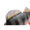 Fox Rage Ultra Realistic Perch Replicant Esca Artificiale in Plastica 14cm 52gr