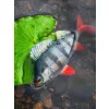 Fox Rage Ultra Realistic Perch Replicant Esca Artificiale in Plastica 14cm 52gr