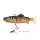 Fox Rage Jointed Replicants 32cm Orange Belly Perch UV Esca artificiale