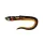 Fox Rage Slick Eel Burbot Esca in plastica 28cm 1pz