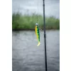 Fox Rage Bulk Loaded Zander Pro Shads UV Firetiger 10cm 4/0 10gr Esca artificiale