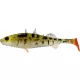 WESTIN Stanley the Stickleback Shadtail 5,5cm 1,5g Pearl Stickleback 6 pz Esche artificiali in plastica