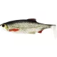 WESTIN Ricky the Roach Shadtail 10cm 14g Real Roach 2pcs esca artificiale in plastica