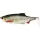 WESTIN Ricky the Roach Shadtail 14cm 42g Real Roach 1 pz. Esca artificiale in plastica