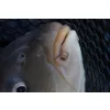 Preston Hookable Bait Bands Csaligumi M 84db