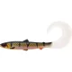 WESTIN BullTeez Curltail 14cm 15g Bling Perch Scatola con 35pz Esche artificiali in plastica