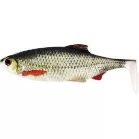  WESTIN Ricky the Roach Shadtail 10cm 14g Real Roach Box w. 30pcs esca artificiale in plastica