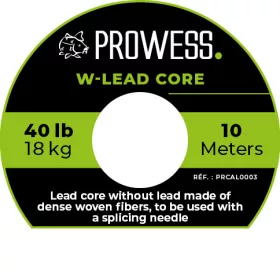 Prowess W-lead Core filo terminale