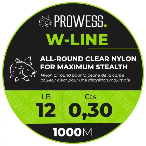 Prowess W-Line 0,25mm 1000m Filo Monofilo Principale