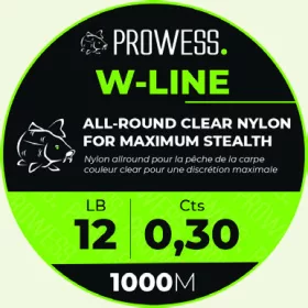 PROWESS W-LINE 0,25mm Filo principale per Bojlis / Filo