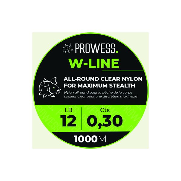 PROWESS W-LINE 0,25mm Filo principale per Bojlis / Filo