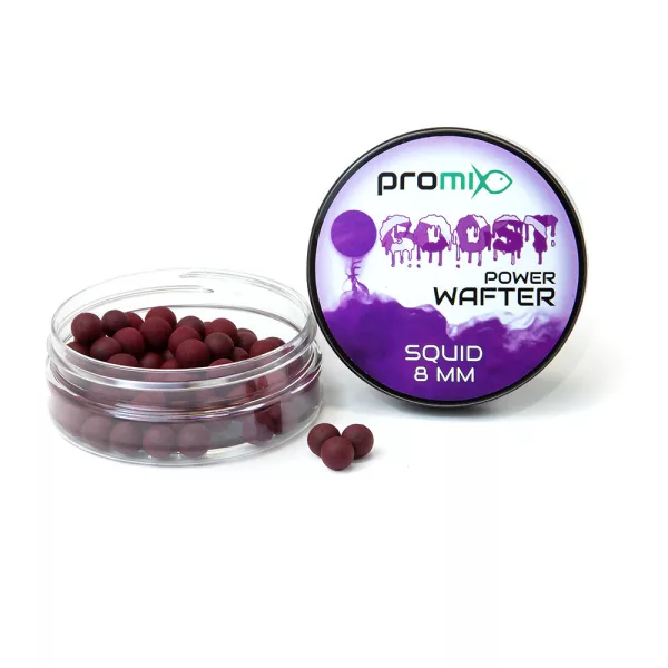 Promix Goost Power Wafter 8mm Tintahal Wafter 20gr