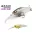 Raid Japan wobblers