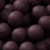 Eurobase Boilies pronte 20Mm/1Kg-Squid&Octopus