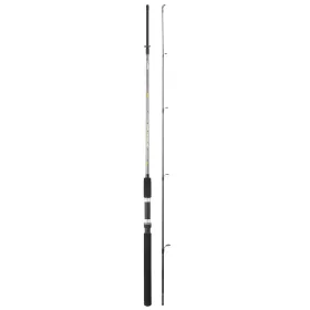   SERT - FISH INSTINCT FW20 SPINCAST 270-2 (40/80g) - Canna da pesca - Canna da spinning - Spinning