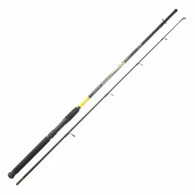   SRT Fish Instinct Symphony Spincast 2,10m 10-30gr Canna da Spinning 2 Pezzi