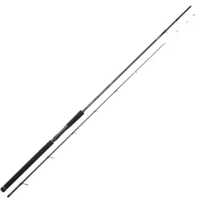   Sunset Salty Kingdom SW 3,00m 130gr Canna da Spinning in 2 pezzi