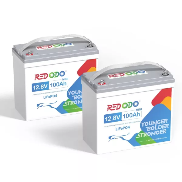 Redodo LiFePO4 12V 100Ah 1,28kWh MINI Batteria