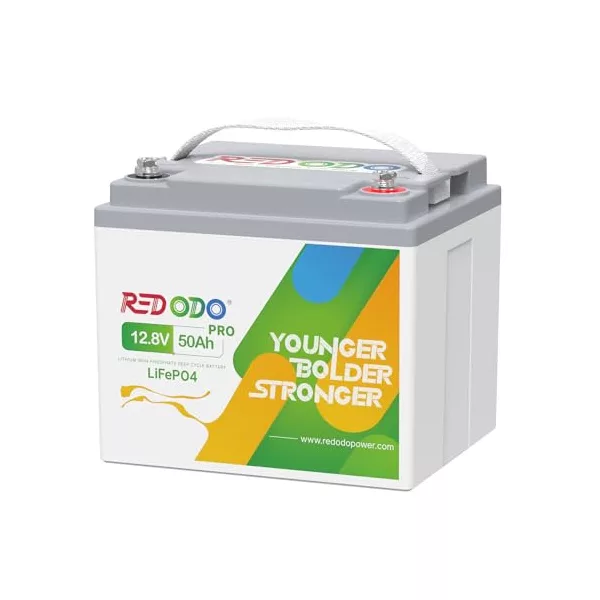 Redodo LiFePO4 12V 50Ah 1,28kWh Batteria