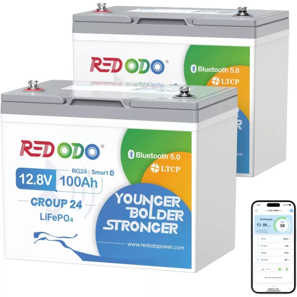 Redodo LiFePO4 12V 100Ah 1,28kWh Group24 BlueTooth Batteria