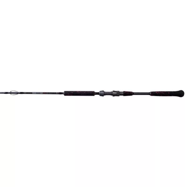 Mikado Intro Catfish 500gr 3m 2 Pezzi Canna da pesca per siluro