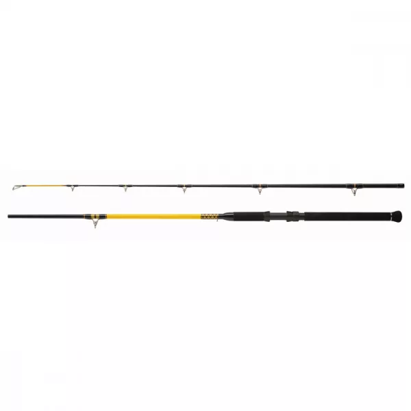 Canna da pesca al siluro WFT Never Crack Bank Boat 3,20m 250-1000gr 2 pezzi