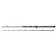 WFT Big Cat Vertical Cat Cast 2,10m 50-210gr Canna da siluro in 2 pezzi